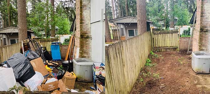 Yard Cleanup