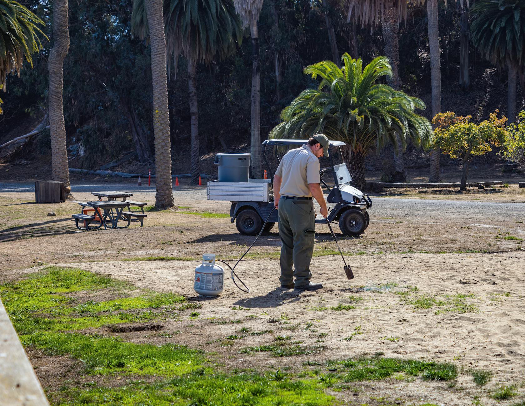 Natural Weed Removal