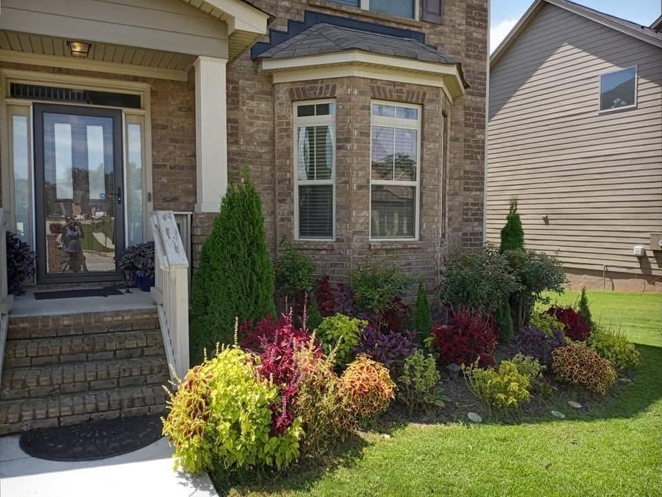 Shrubs & Entrance Landscaping